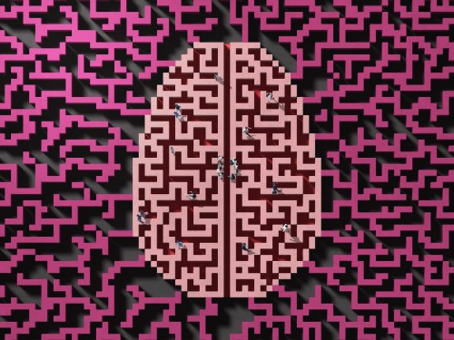 Amazon May Not Be the Leader in Artificial Intelligence Developments